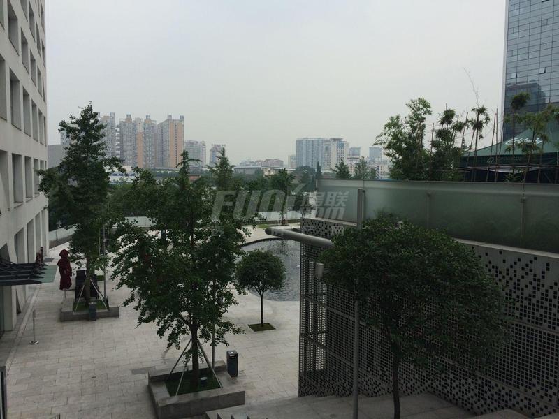 工程进度