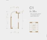 C1