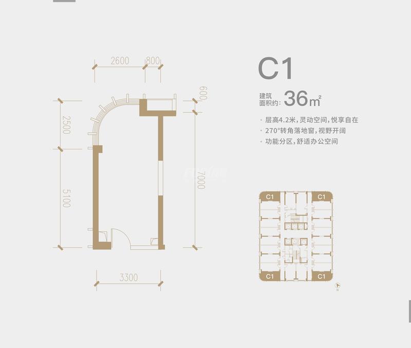 C1