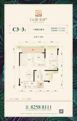 C3-3