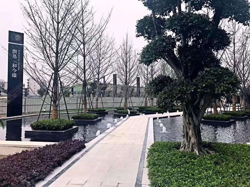 实景图