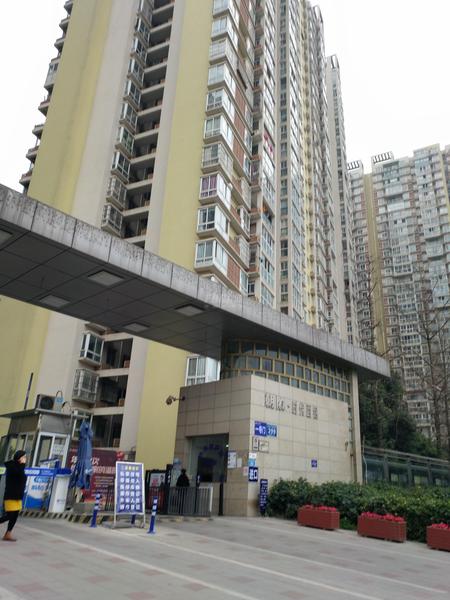 实景图