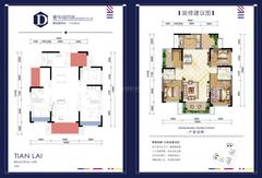 天来汇景1期4室2厅2卫115.82平户型