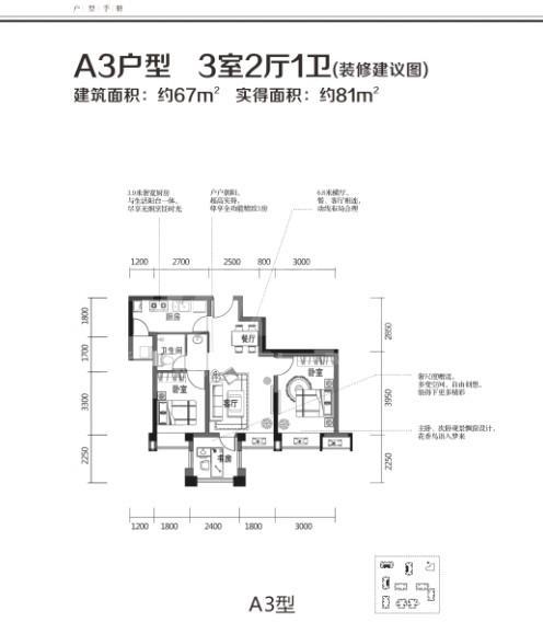 A3
