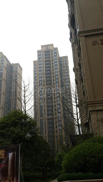 工程进度