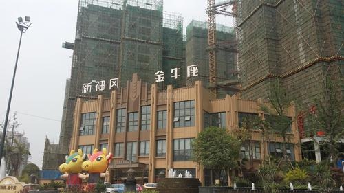 新神风金牛座实景图