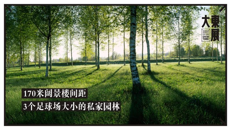效果图