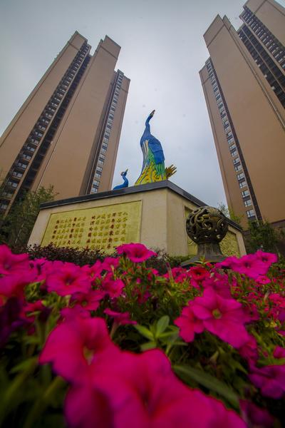 小区内实景图