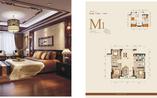 M 户型（21#）