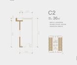 C2