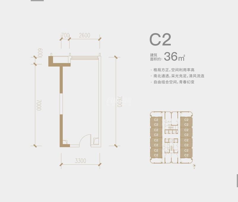 C2