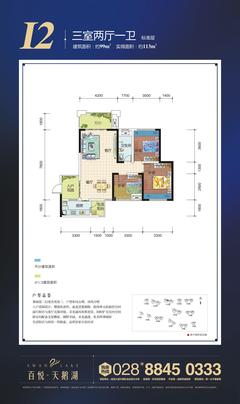 百悦城百悦天鹅湖3室2厅1卫99.00平户型