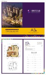 A3