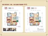 31层D5户型
