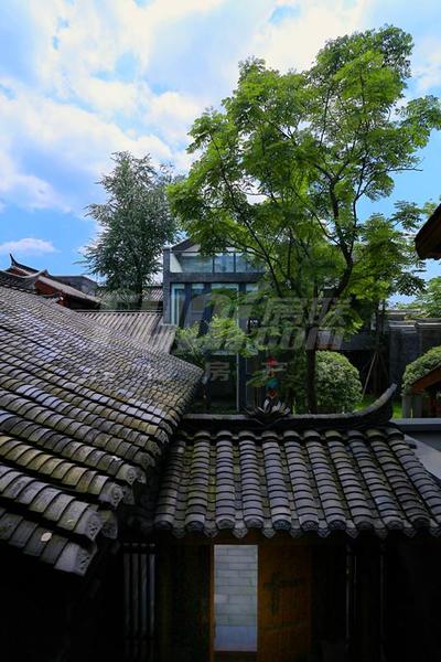 实景图