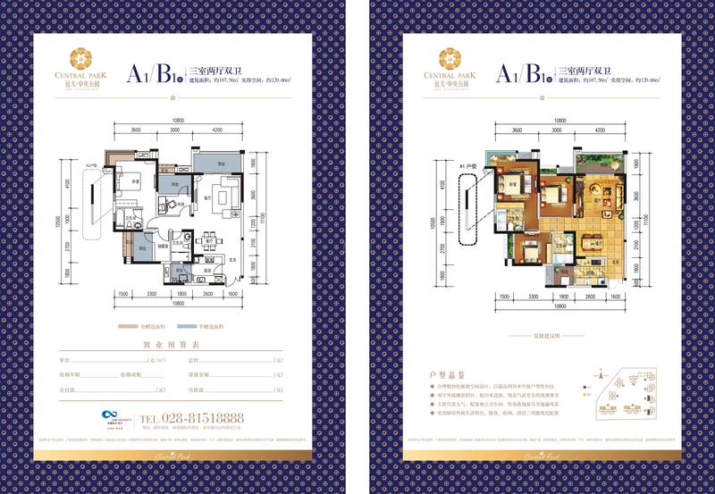 A1/B1
