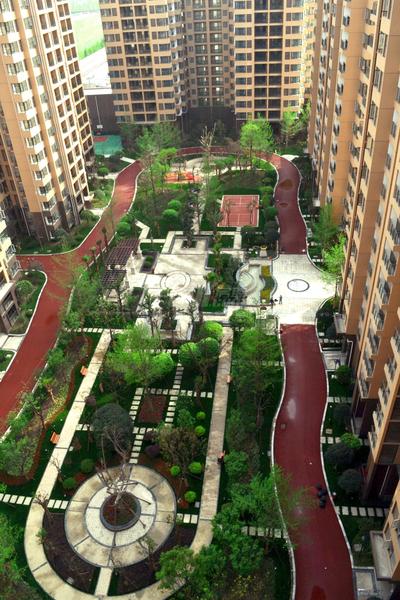 实景图