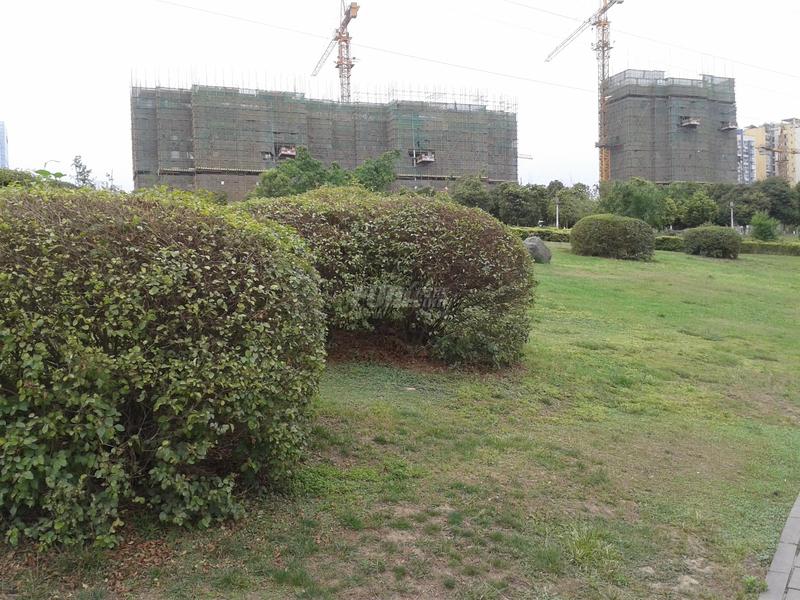 沙河公园