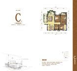 C-2