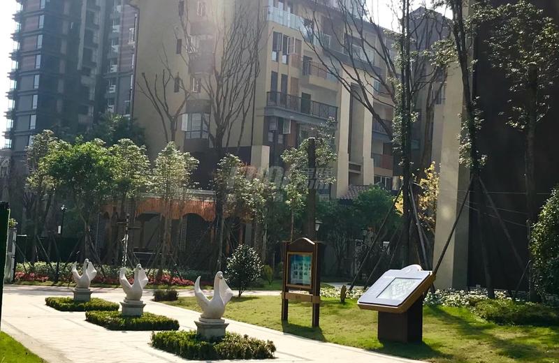 实景图