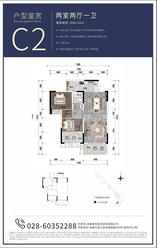 C2