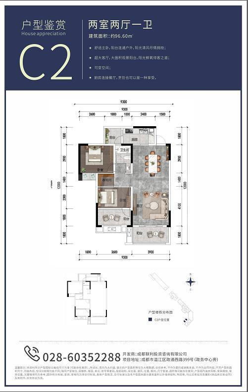 C2