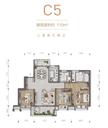 万达公园里3室2厅2卫110.00平户型