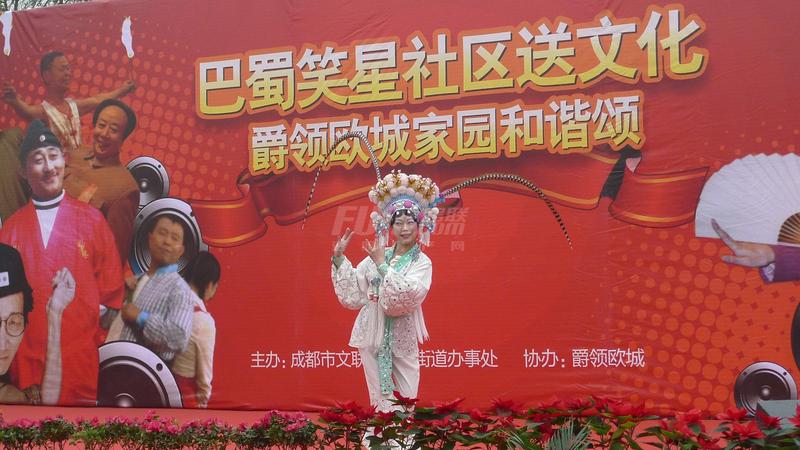 活动照片
