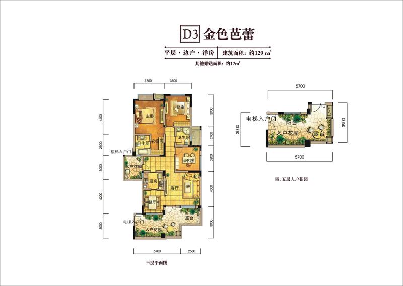 D3金色芭蕾