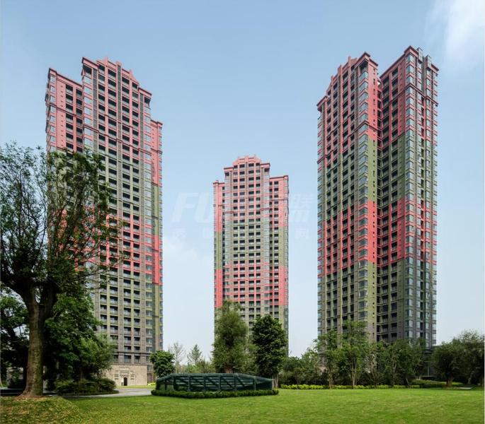 项目实景图