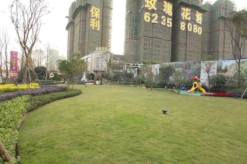 实景图