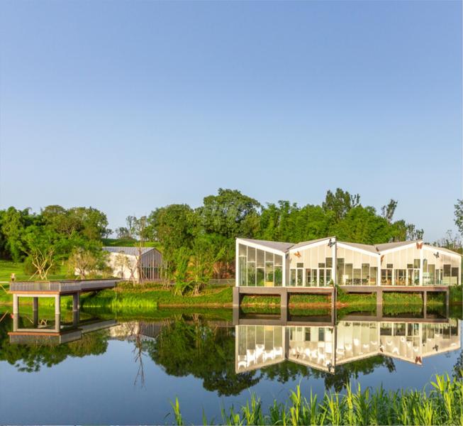 杨溪湖湿地公园
