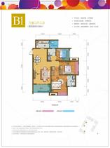B1