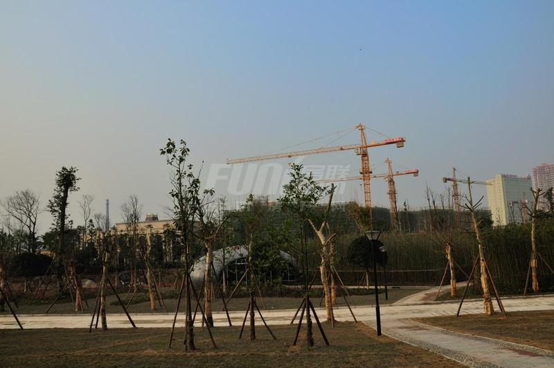 施工现场实景图