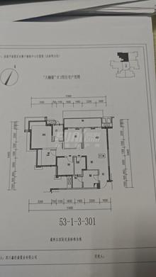 星岛天樾臺4室2厅2卫116.32平户型