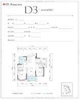 D3