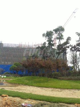 西江河畔实景图