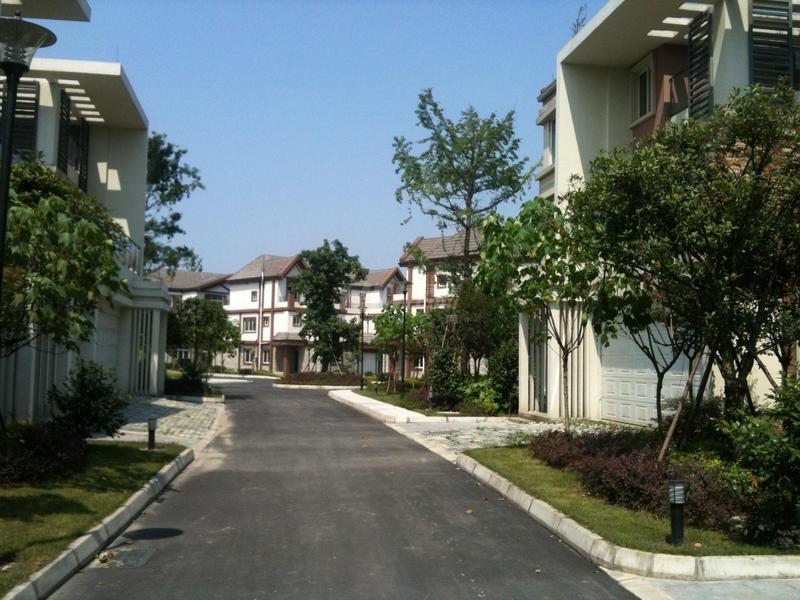 实景图