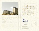 C2-4