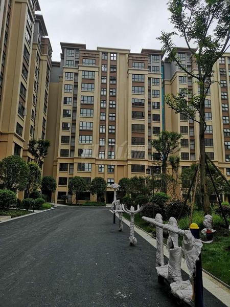 小区实景