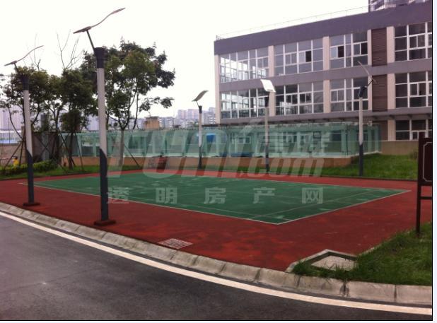 实景图