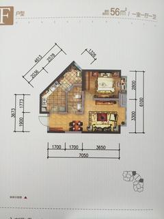 中迪创世纪广场1室2厅1卫57.00平户型