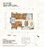 B1户型
