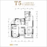 T5