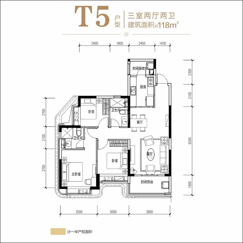 T5