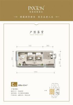 水岸 天成1期63.00平户型