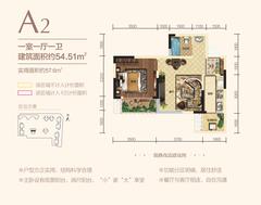 隆腾•城市之光1期1室1厅1卫54.51平户型