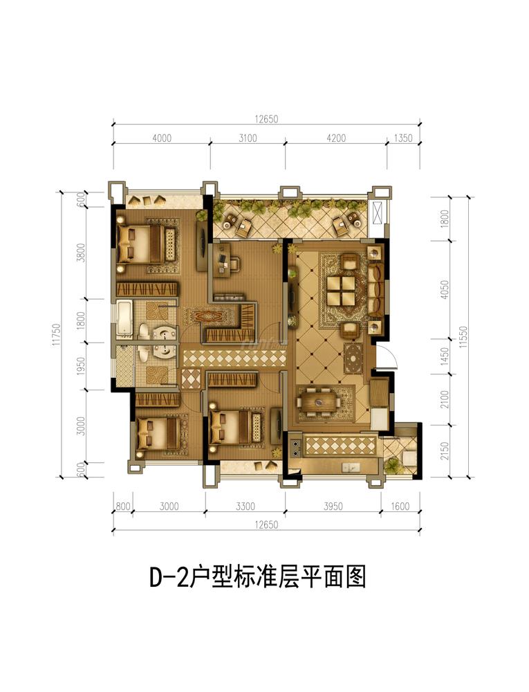 D户型