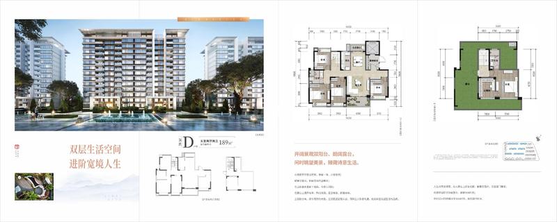 D户型-顶跃