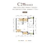 C2顶